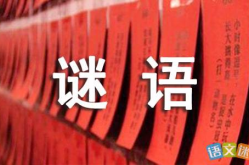 最新的灯谜精选及答案,趣味盎然的新春谜语盛宴